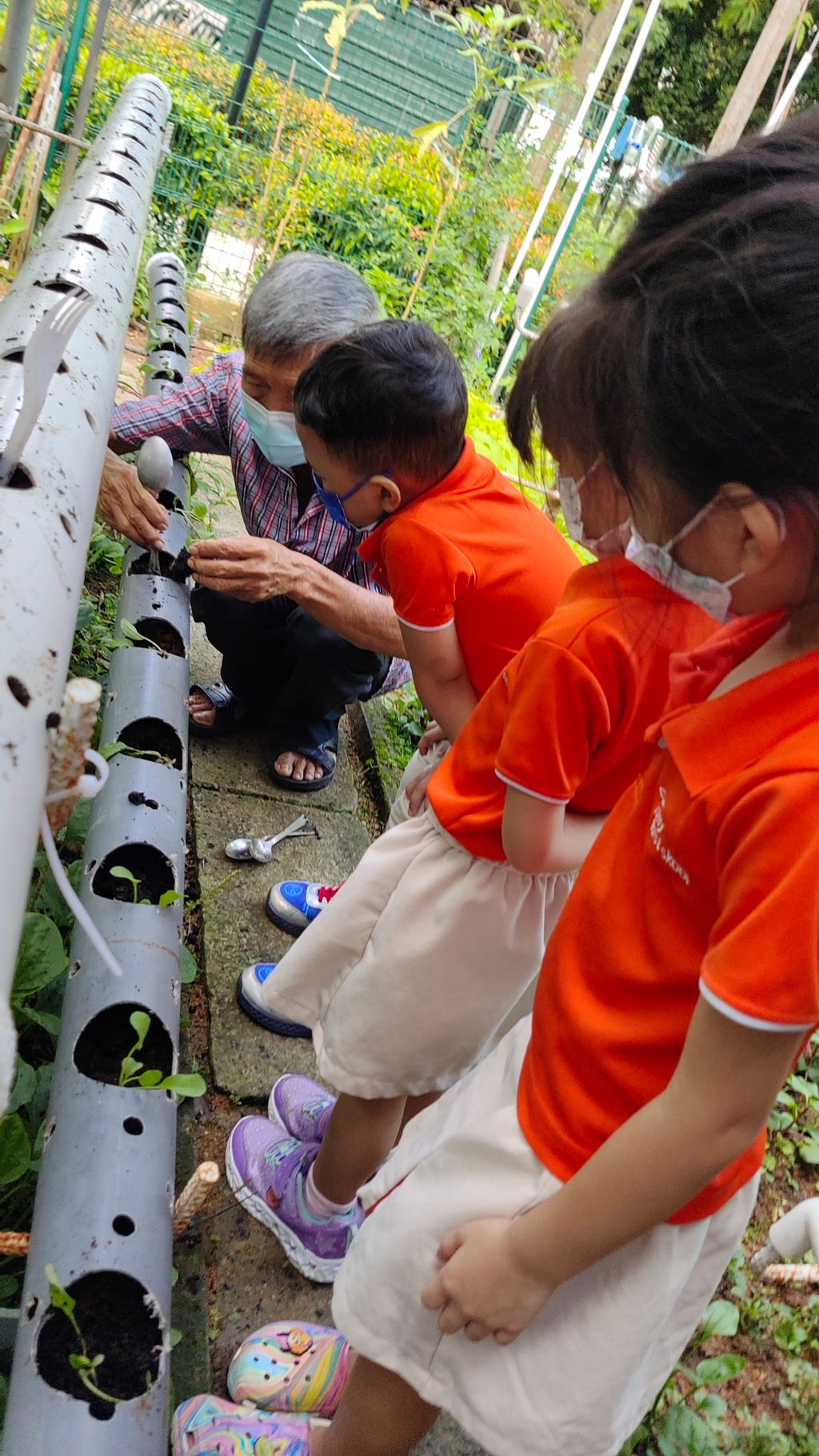 Little Green Fingers — photo 8