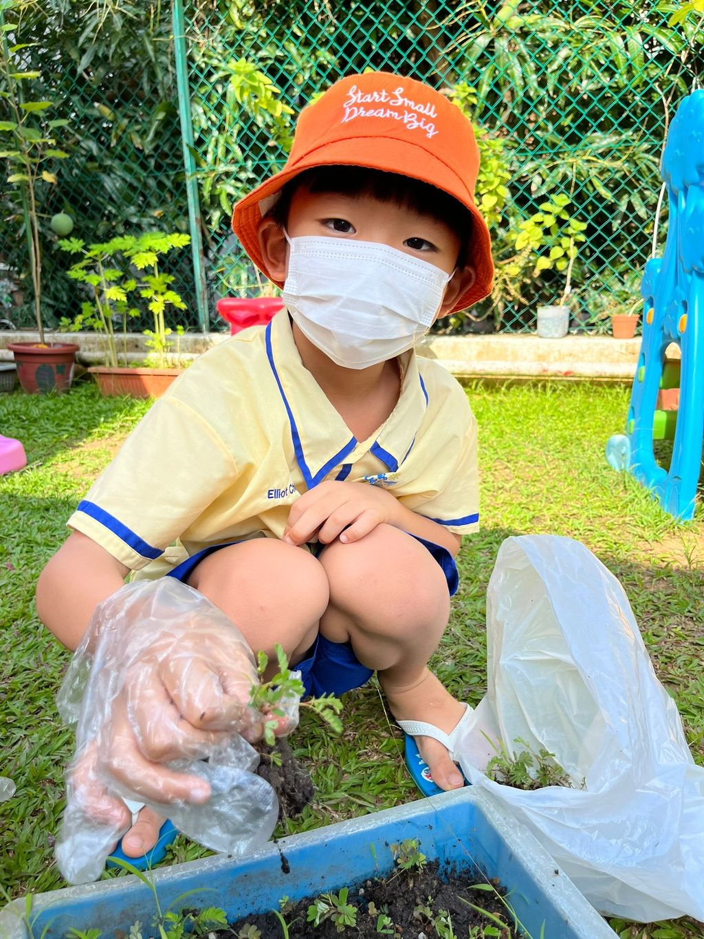 "To plant a garden is to believe in tomorrow."- Audrey Hepburn — photo 3