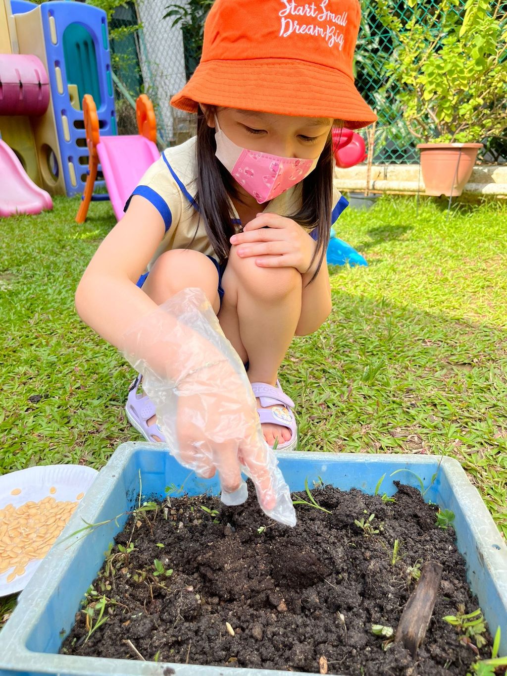 "To plant a garden is to believe in tomorrow."- Audrey Hepburn — photo 5