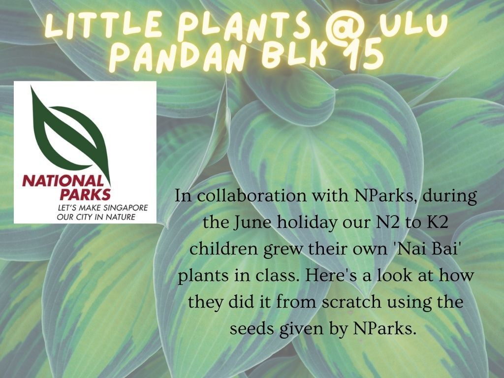 Little Plants @ Ulu Pandan Blk 15