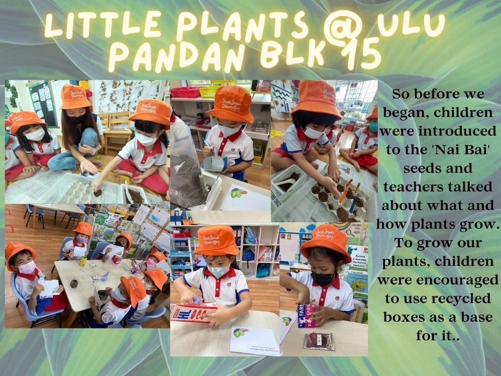 Little Plants @ Ulu Pandan Blk 15 — photo 2