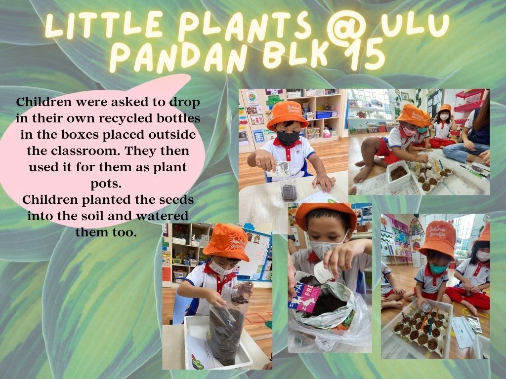 Little Plants @ Ulu Pandan Blk 15 — photo 3