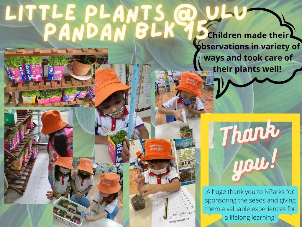 Little Plants @ Ulu Pandan Blk 15 — photo 4