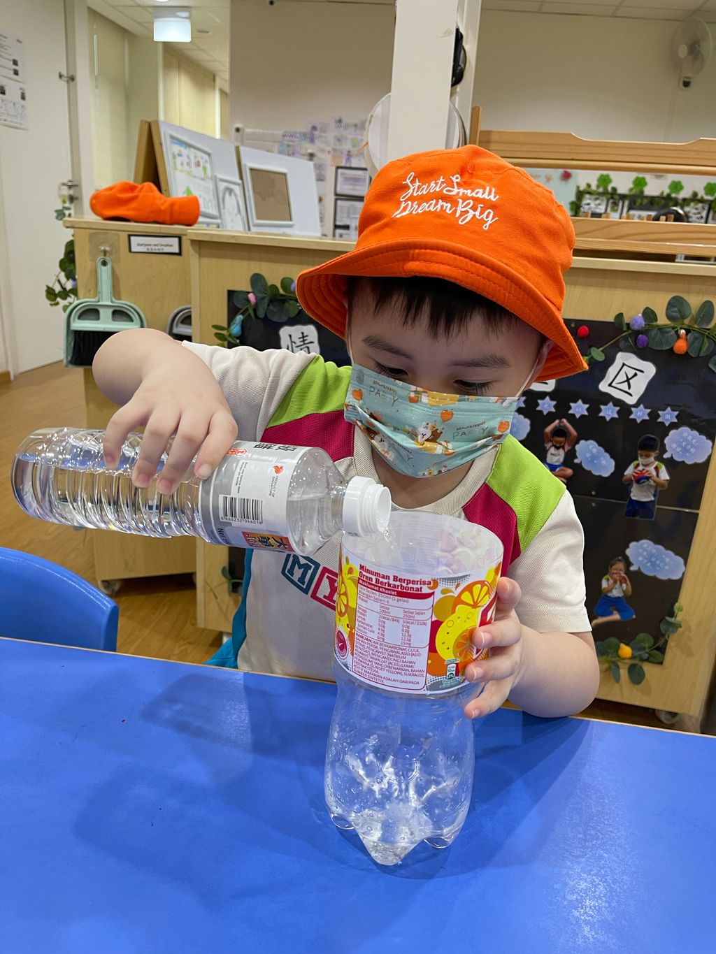 Making mosquito trap (II) — photo 1