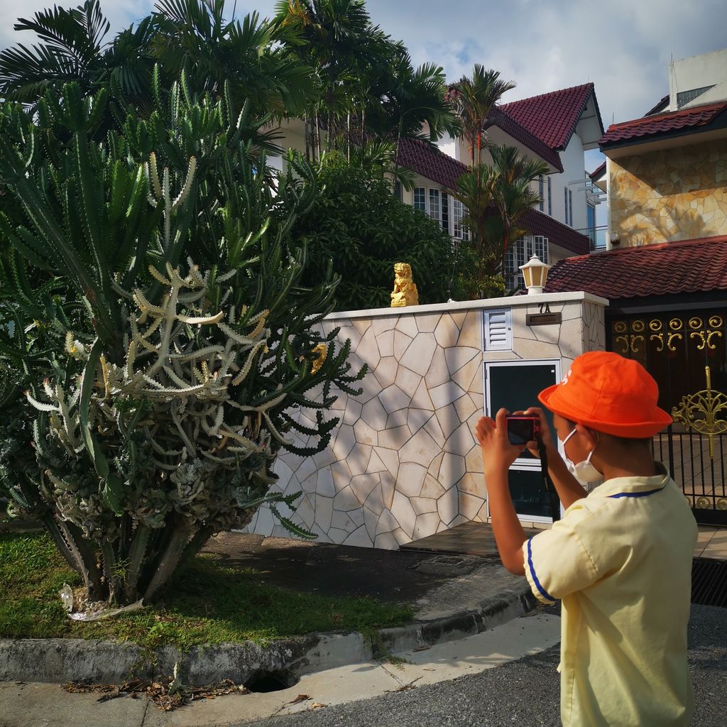 Neighbourhood Nature Walk - Fill the Frame
