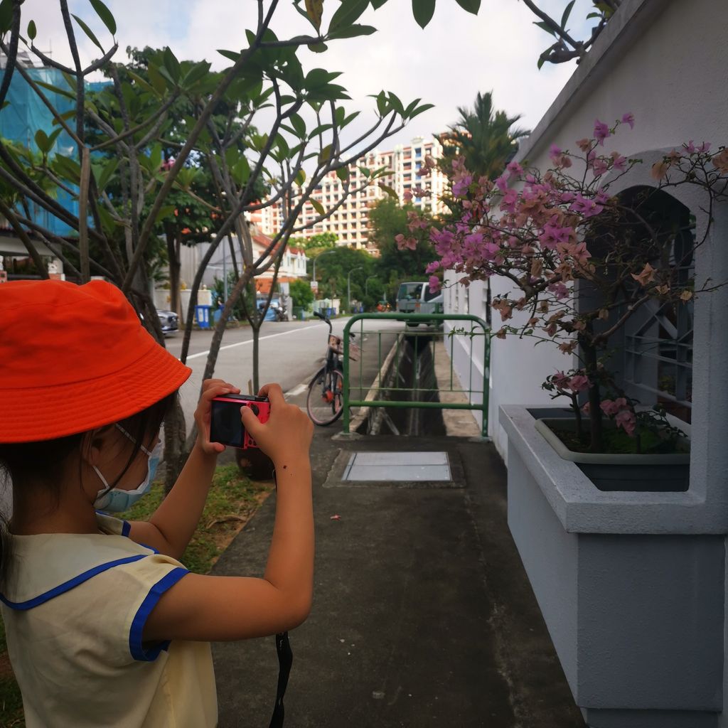 Neighbourhood Nature Walk - Fill the Frame — photo 2