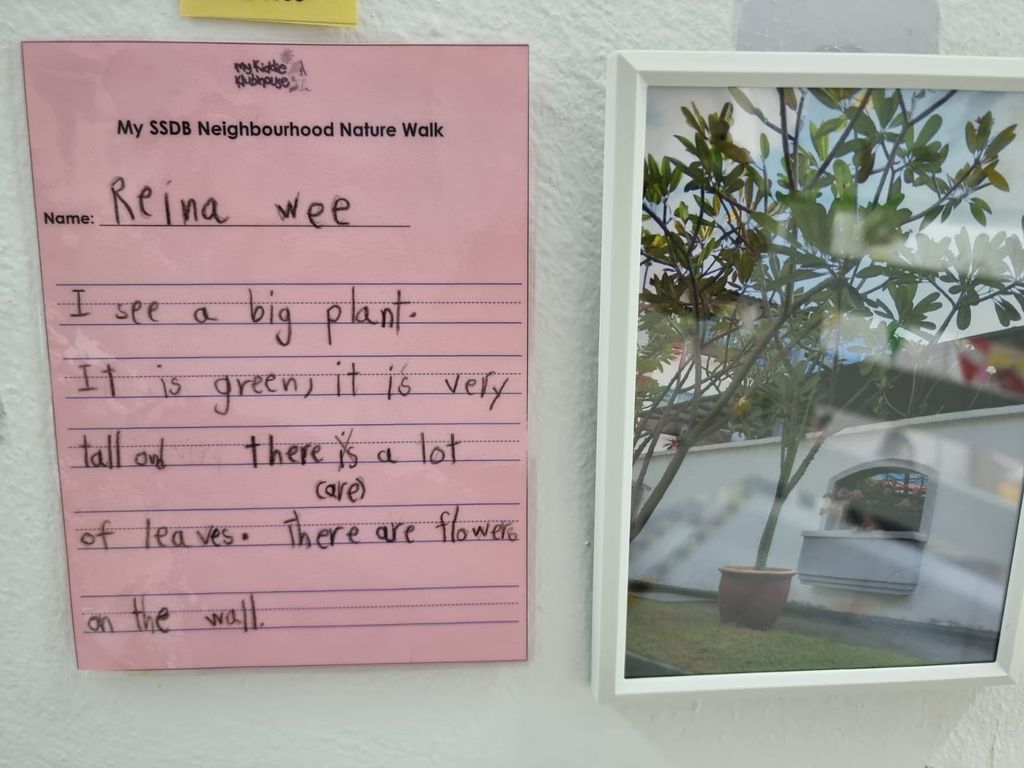 Neighbourhood Nature Walk - Fill the Frame — photo 1