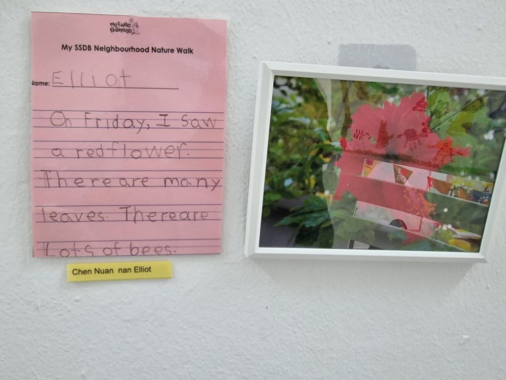 Neighbourhood Nature Walk - Fill the Frame — photo 2