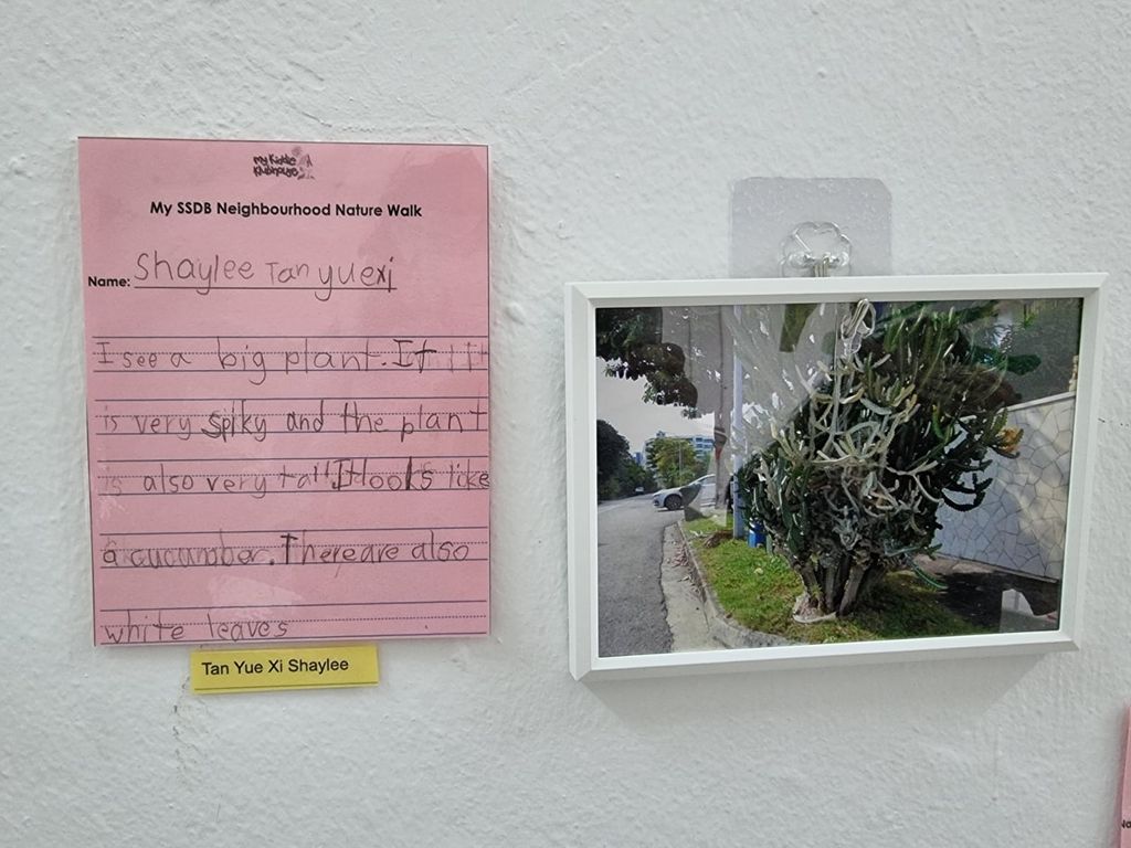 Neighbourhood Nature Walk - Fill the Frame — photo 3