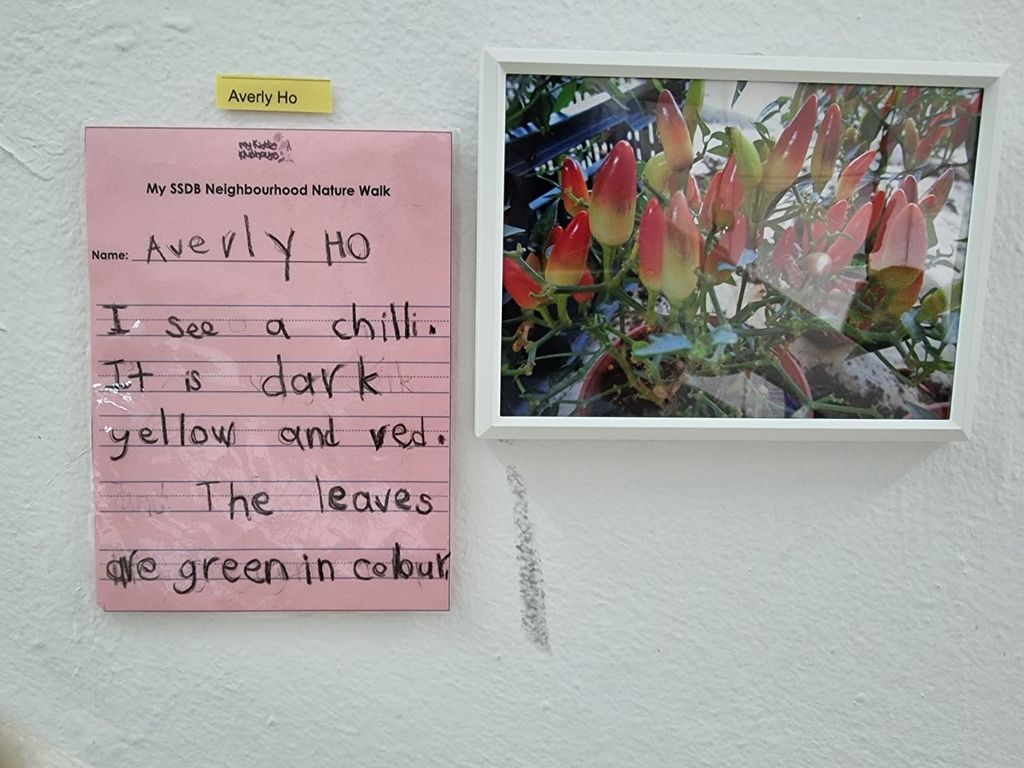 Neighbourhood Nature Walk - Fill the Frame — photo 4