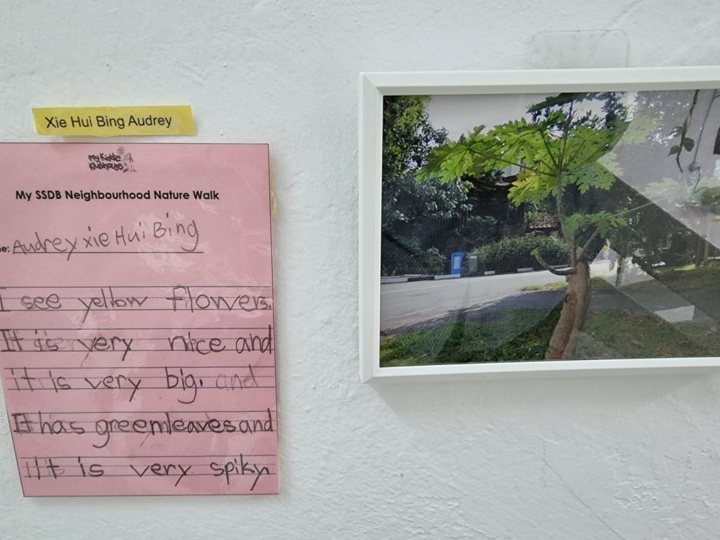 Neighbourhood Nature Walk - Fill the Frame — photo 6