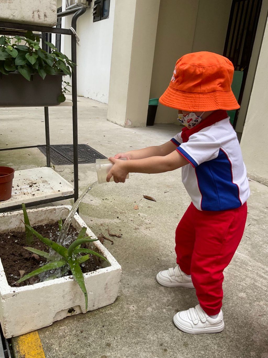 Little Explorers Care — photo 2