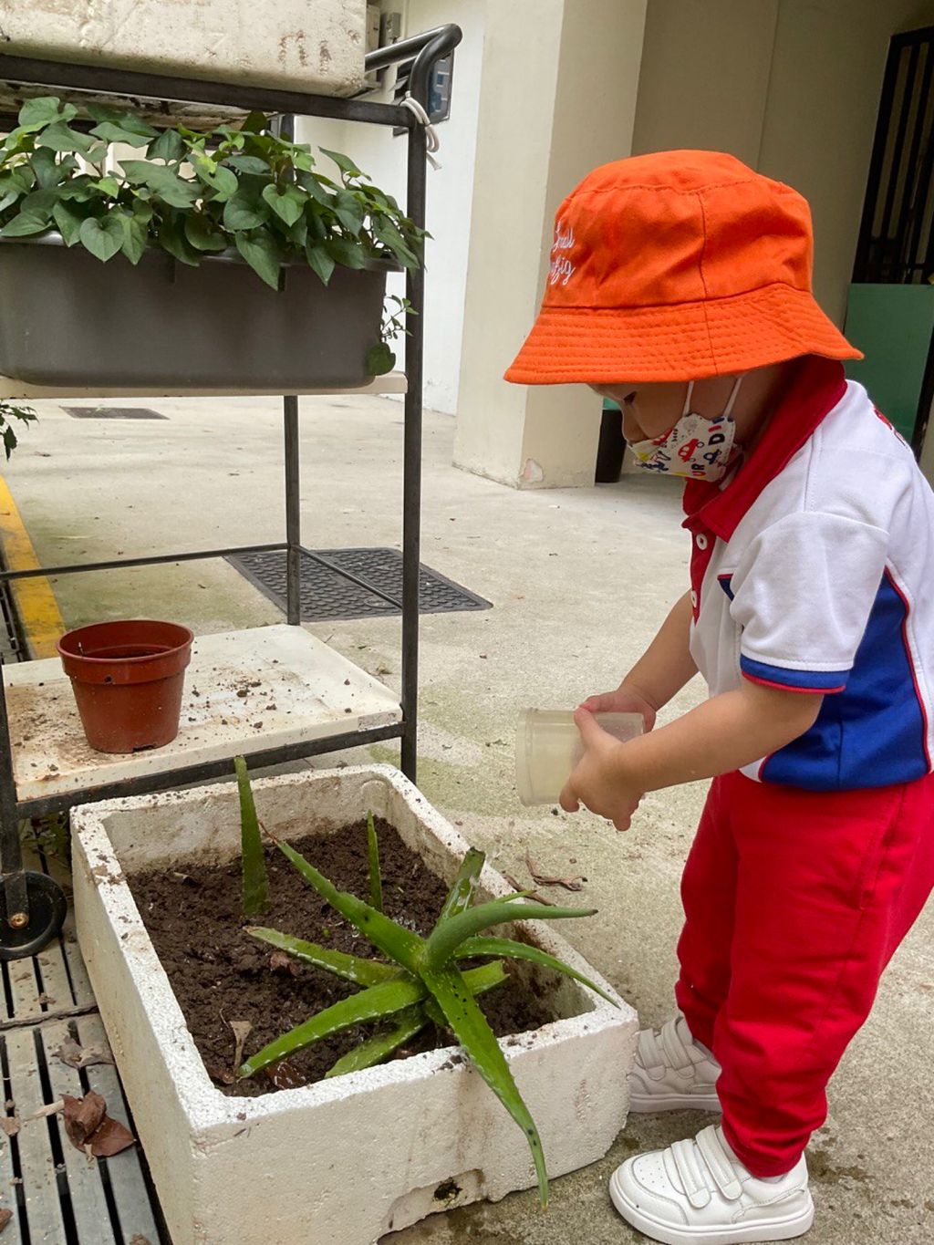 Little Explorers Care — photo 3