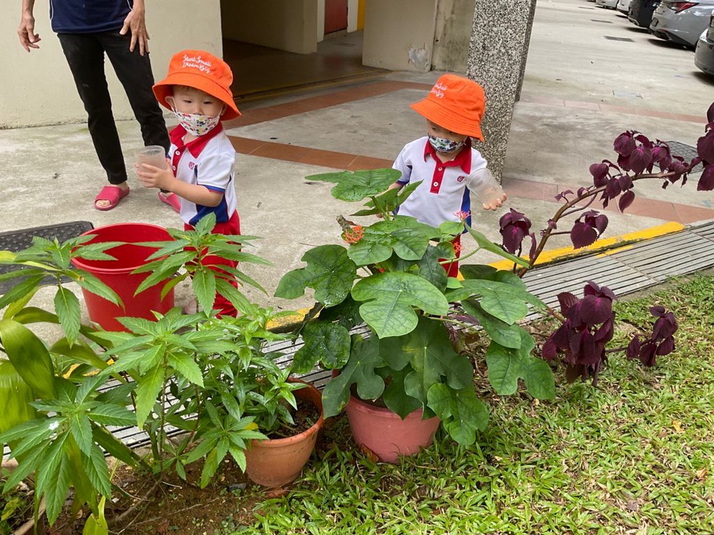 Little Explorers Care — photo 5