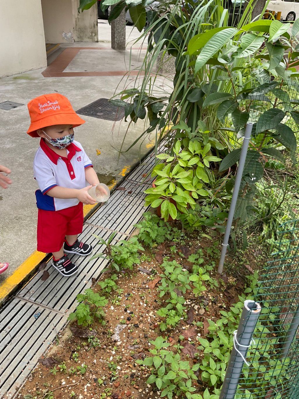 Little Explorers Care — photo 7