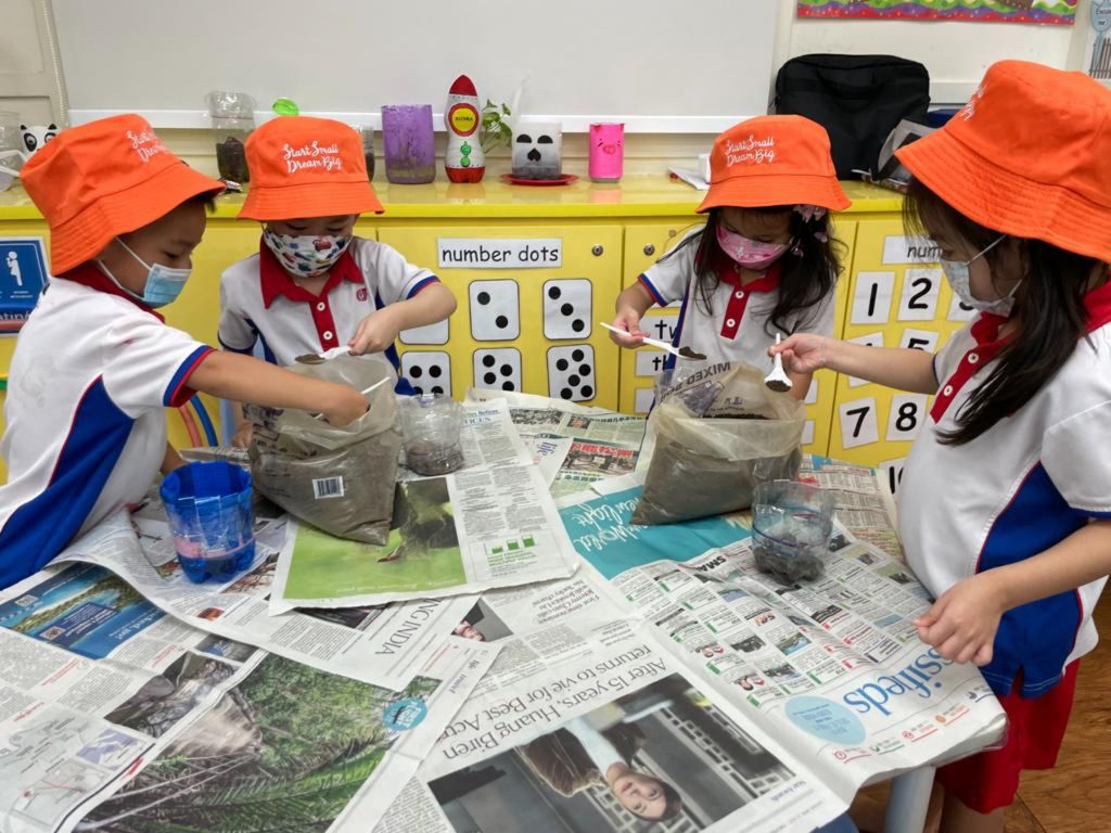 Little Explorers Care — photo 2
