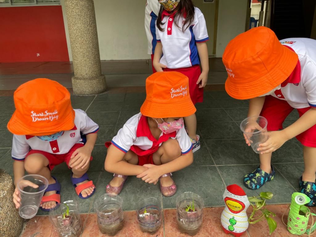 Little Explorers Care — photo 4