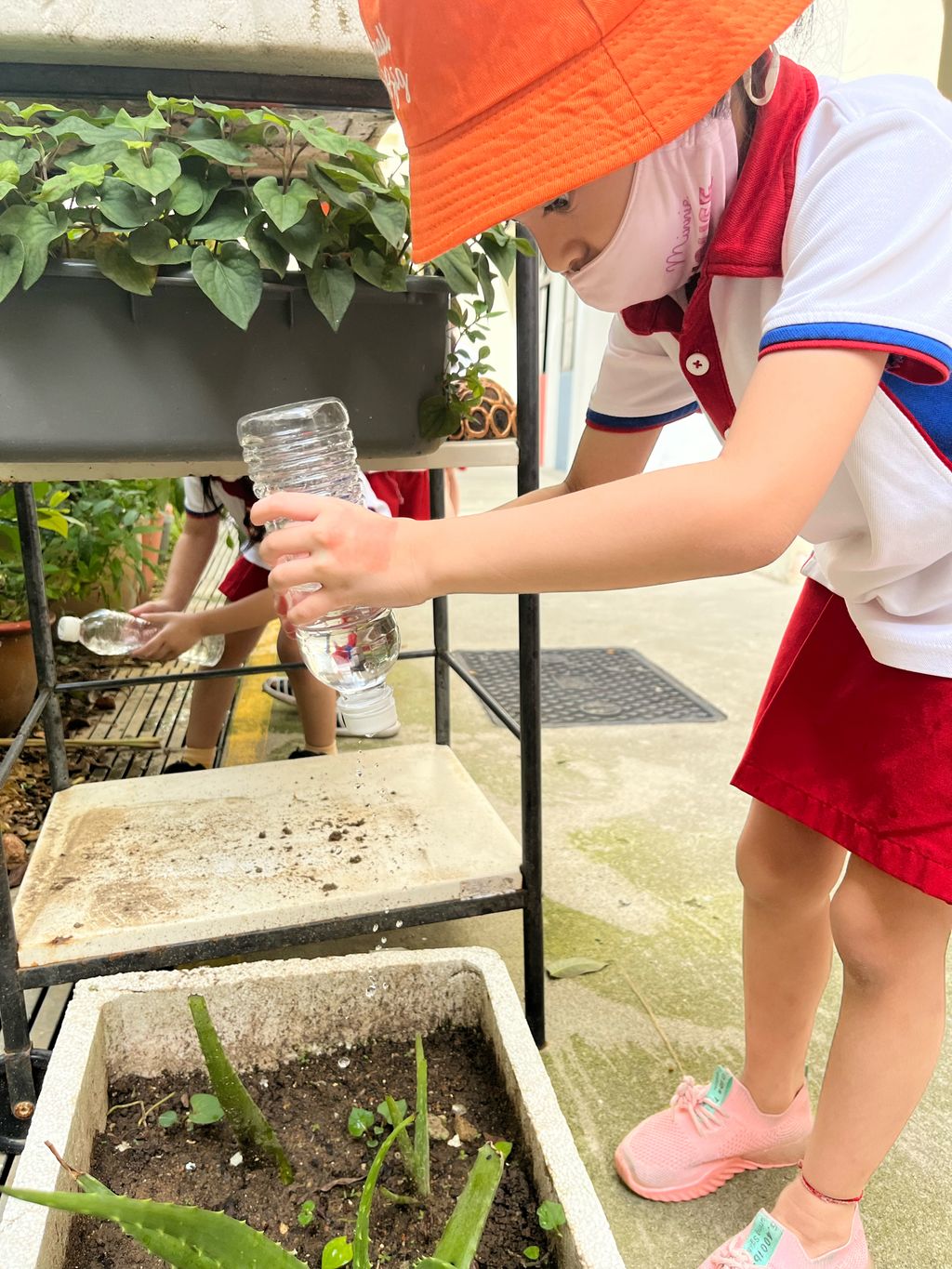 Little Explorers Care — photo 1