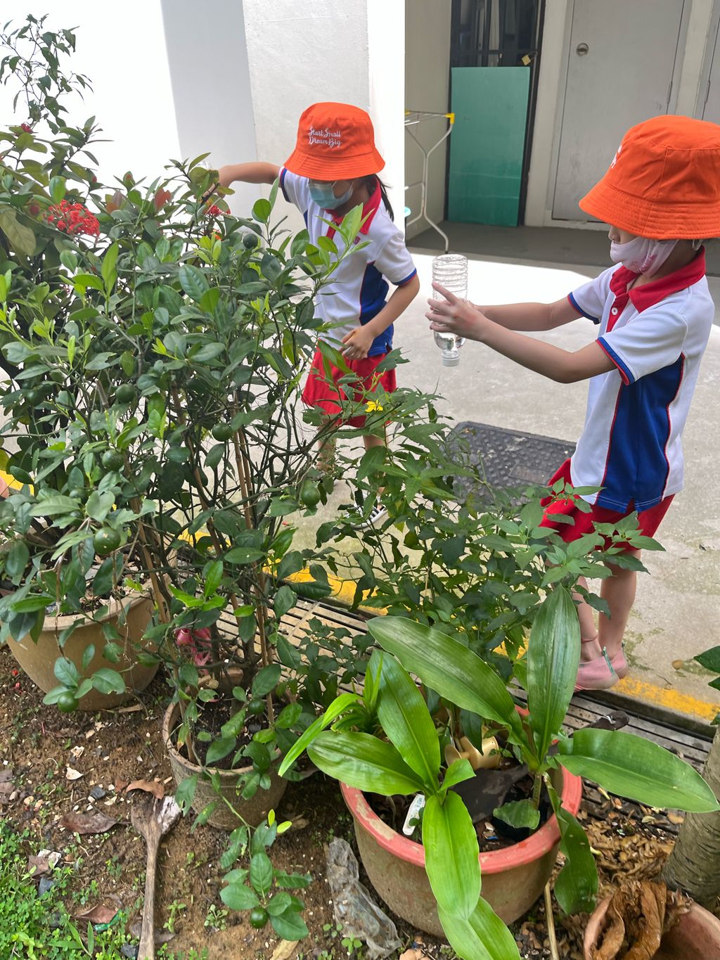 Little Explorers Care — photo 2
