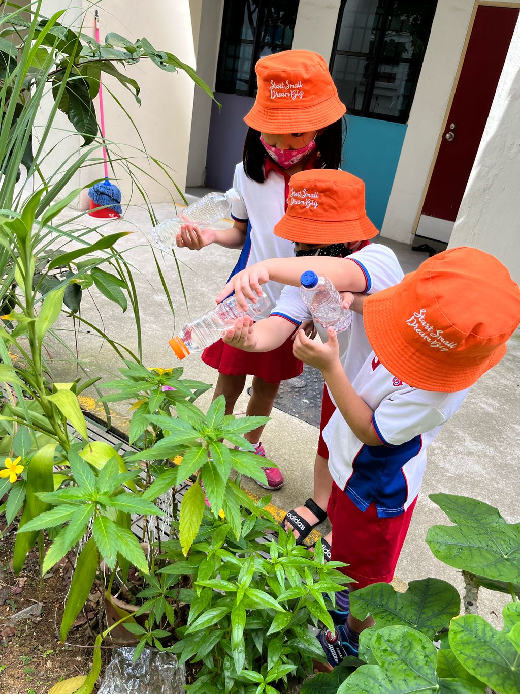 Little Explorers Care — photo 3