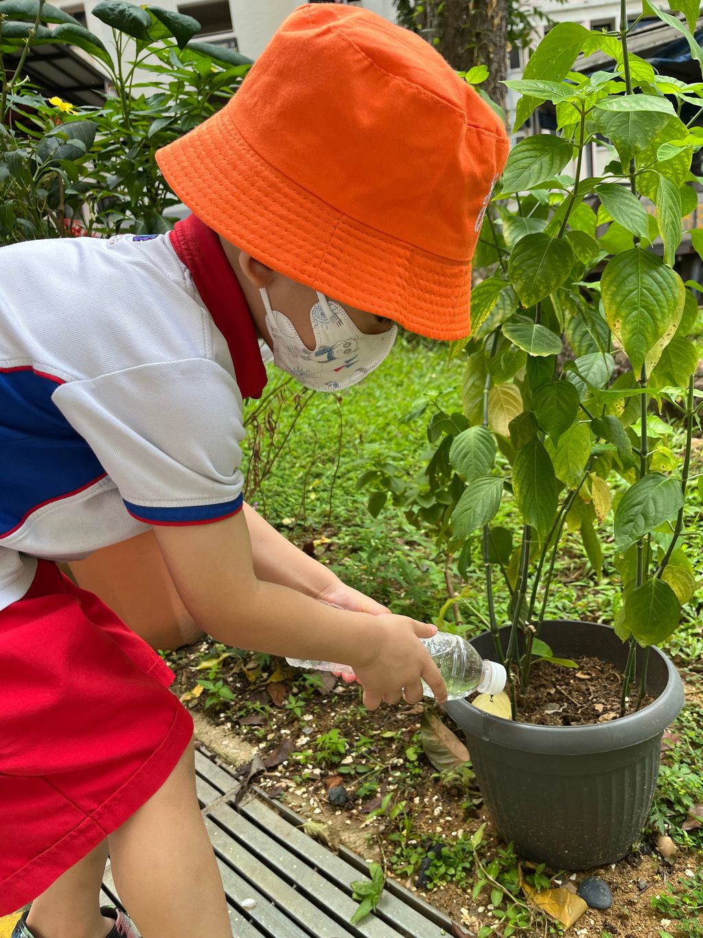 Little Explorers Care — photo 4