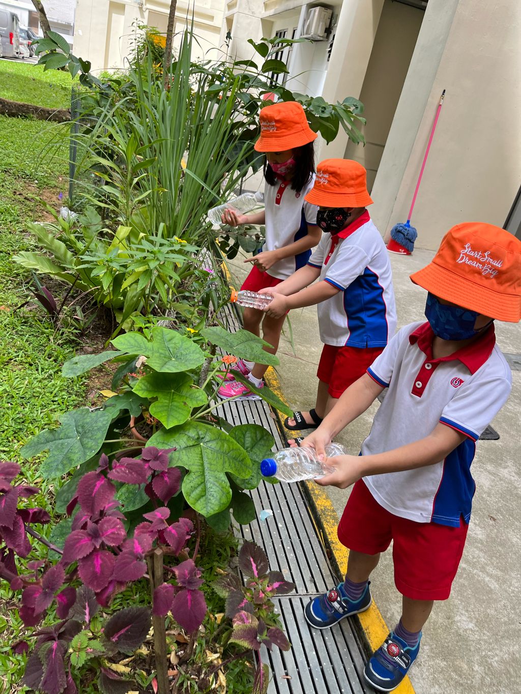 Little Explorers Care — photo 6