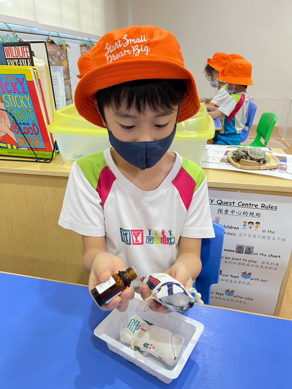Making mosquito repellent (II) — photo 1