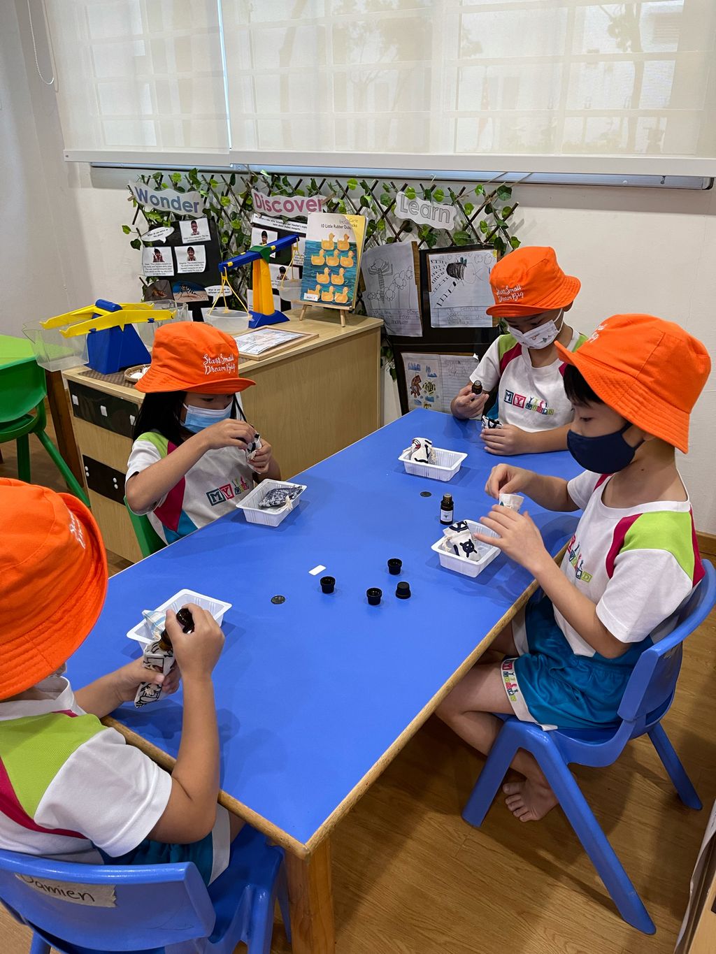 Making mosquito repellent (II) — photo 1