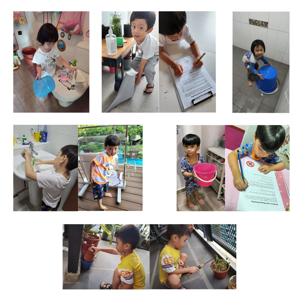 Checking home environment — photo 3