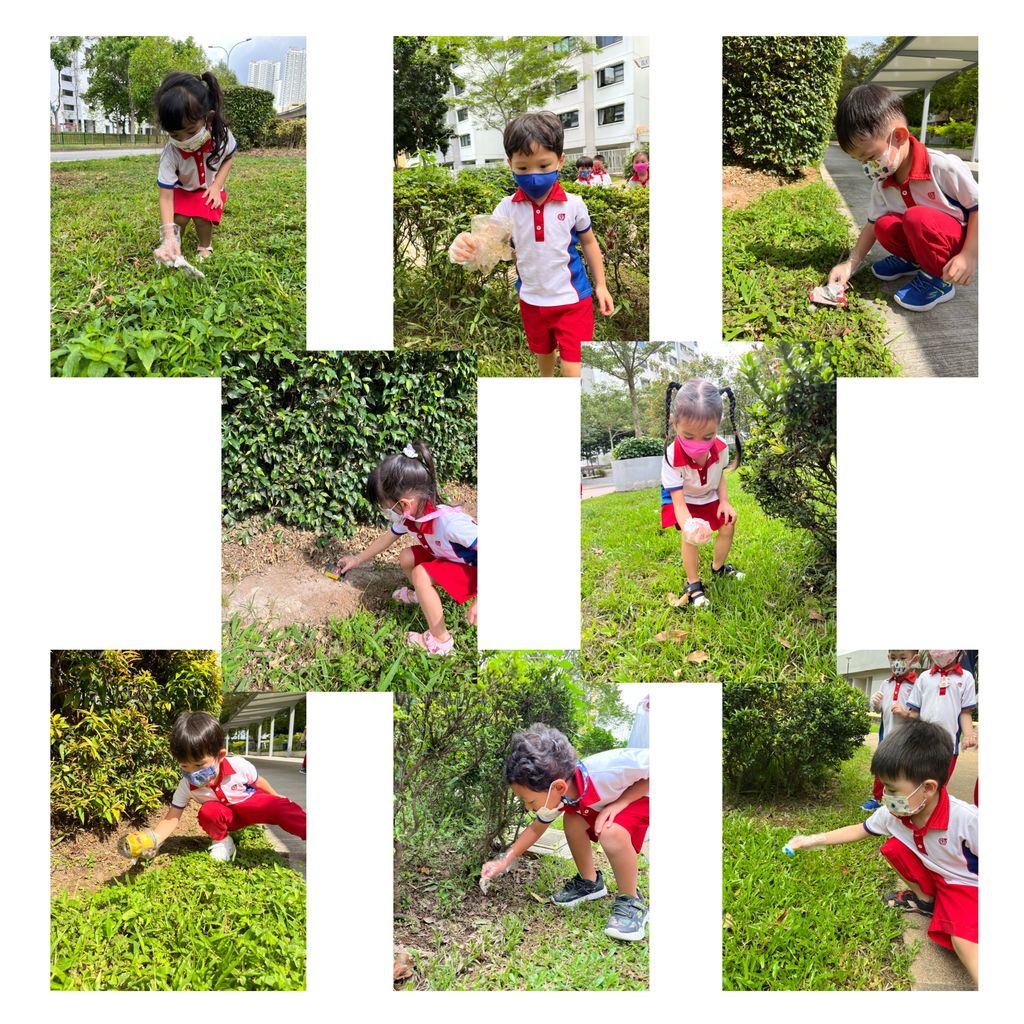 Protect my environment — photo 2