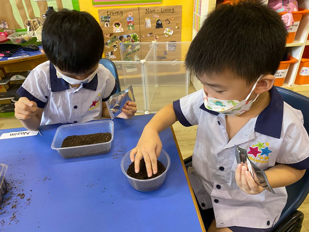 Plant for Earth!🪴🌍 (Parental Involvement Workshop) — photo 1