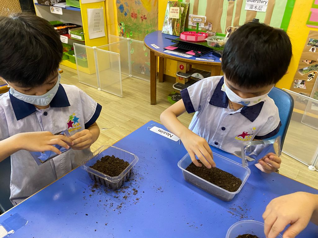 Plant for Earth!🪴🌍 (Parental Involvement Workshop) — photo 3