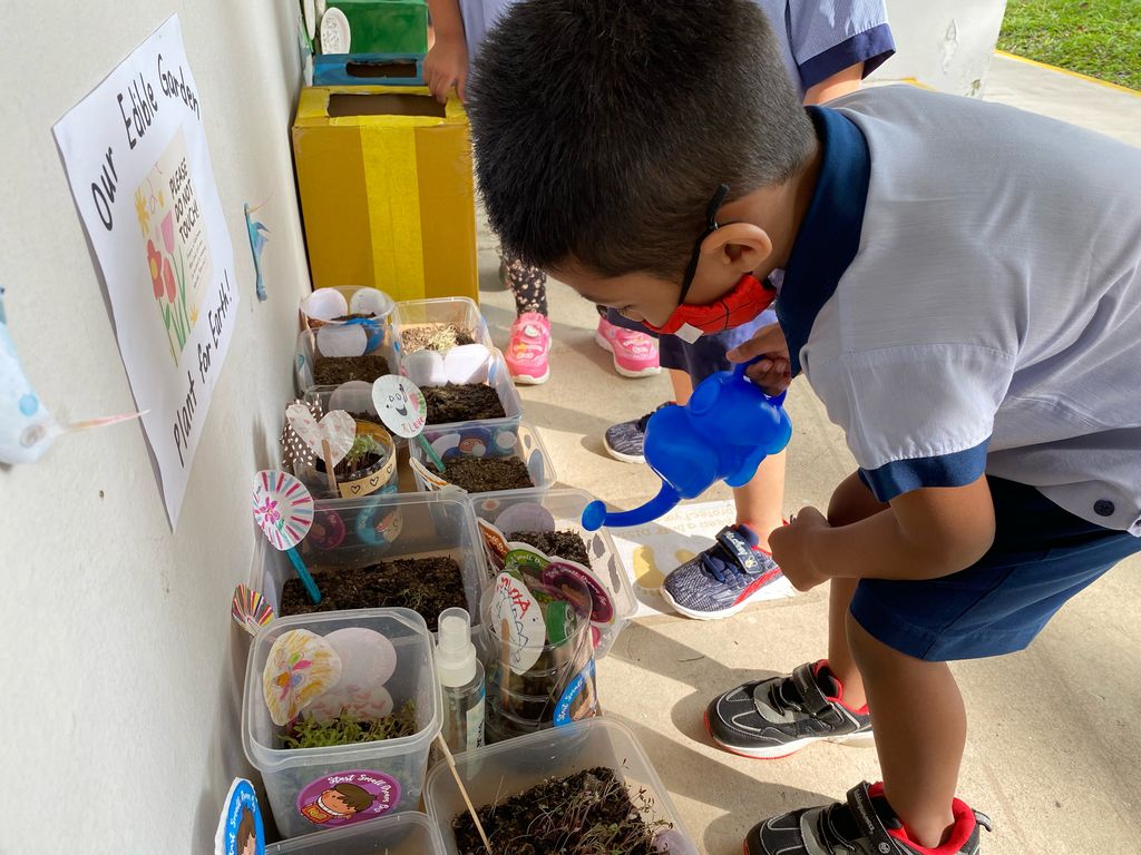 Plant for Earth!🪴🌍 (Parental Involvement Workshop) — photo 1