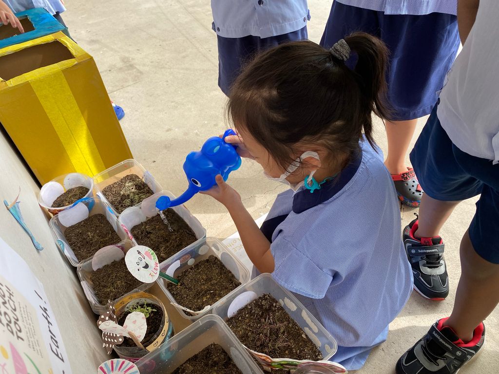 Plant for Earth!🪴🌍 (Parental Involvement Workshop) — photo 4