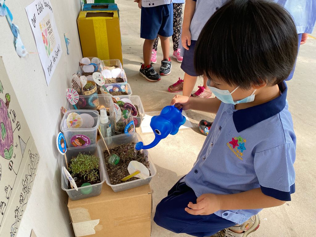 Plant for Earth!🪴🌍 (Parental Involvement Workshop) — photo 5
