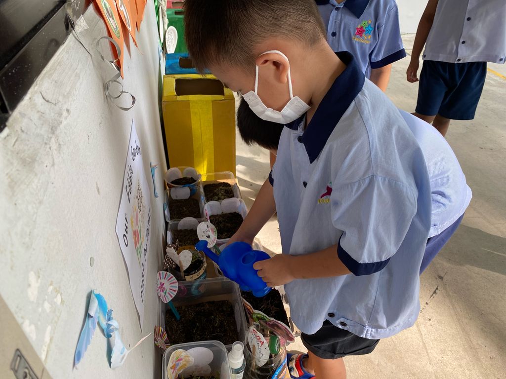 Plant for Earth!🪴🌍 (Parental Involvement Workshop) — photo 6
