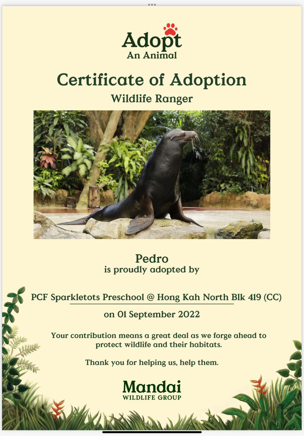 SSDB - Adopt An Animal School Edition — photo 1