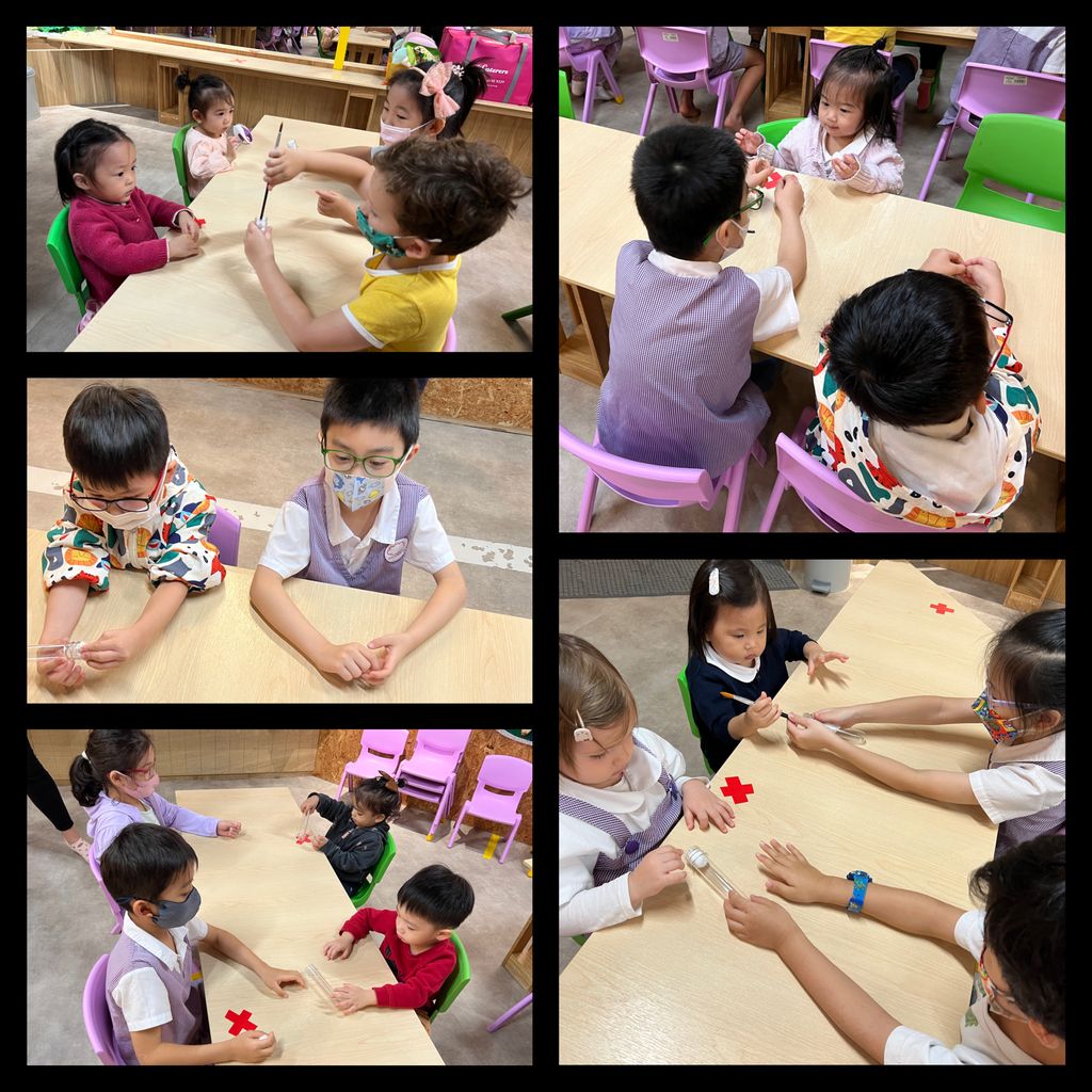 Investigating How Plants Grow π±π - K2βs How To Grow A Bean Plant Workshop