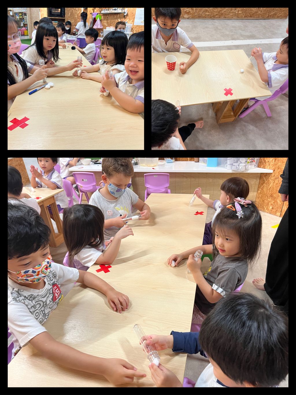 Investigating How Plants Grow 🌱🔎 - K2’s How To Grow A Bean Plant Workshop — photo 3