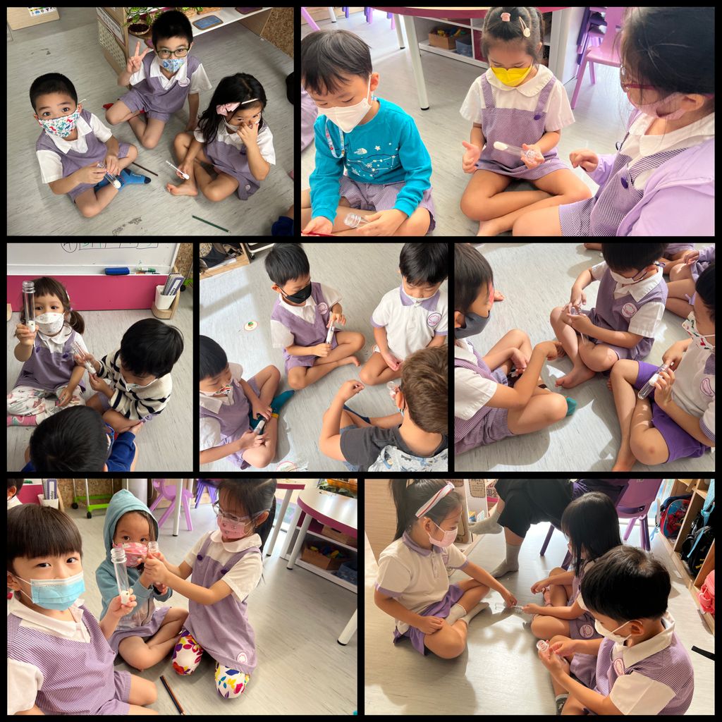 Investigating How Plants Grow 🌱🔎 - K2’s How To Grow A Bean Plant Workshop — photo 6