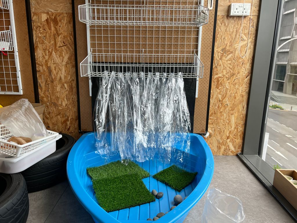 Investigating How Plants Grow π±π - Building Our Indoor Garden