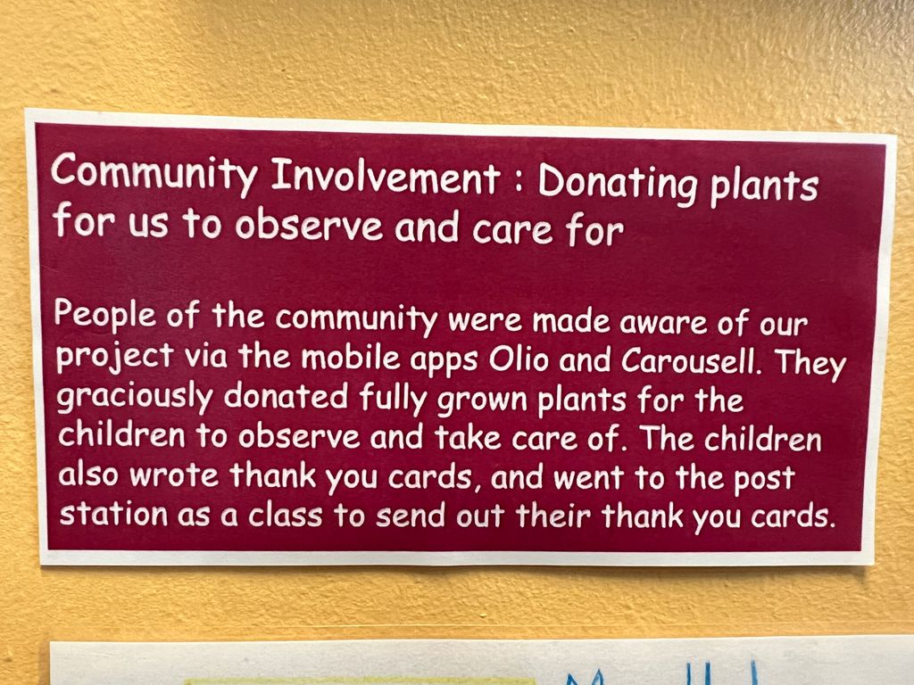 Investigating How Plants Grow π±π - Will You Help Us Build Our Garden?