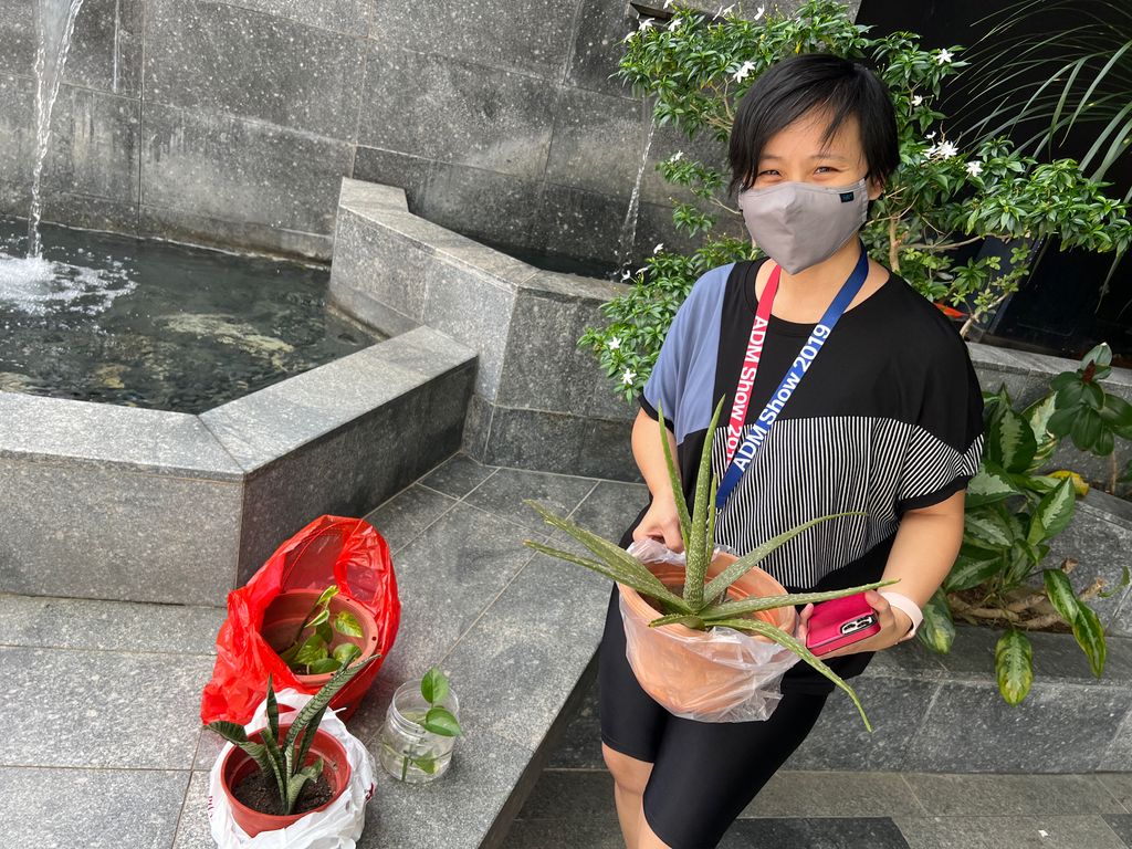 Investigating How Plants Grow π±π - Will You Help Us Build Our Garden? β photo 3