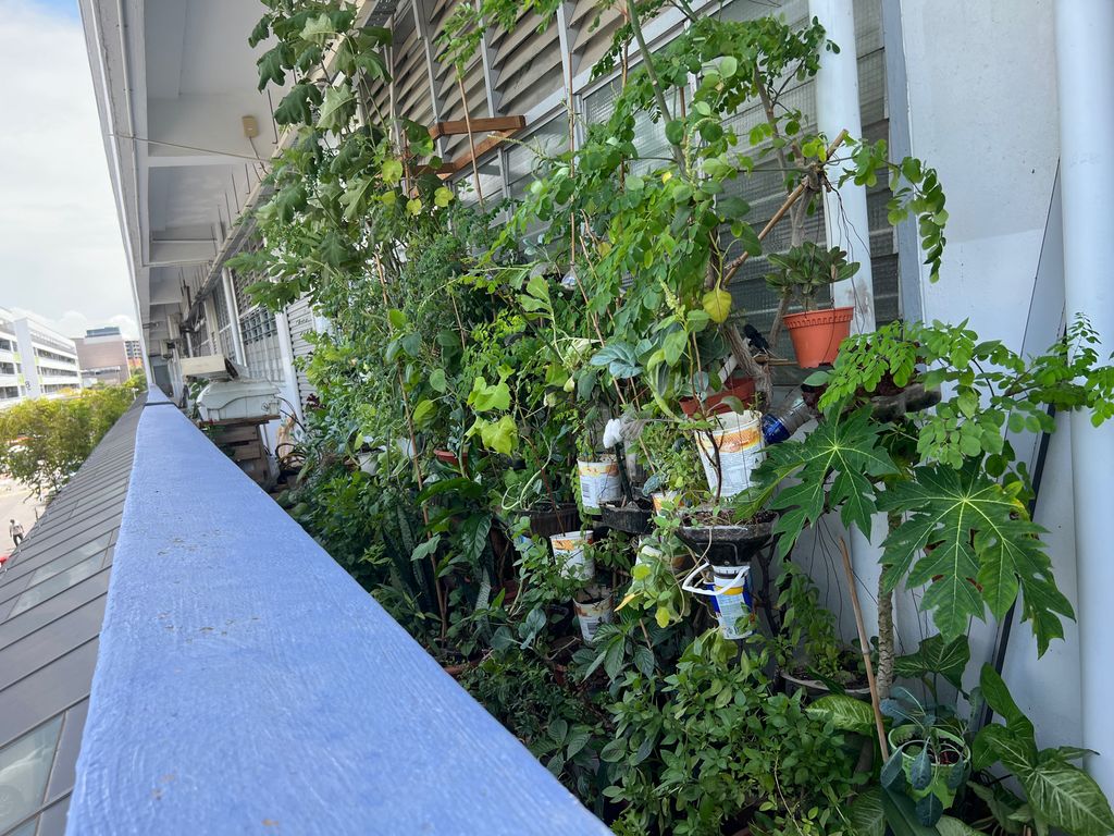 Investigating How Plants Grow π±π - Will You Help Us Build Our Garden? β photo 7