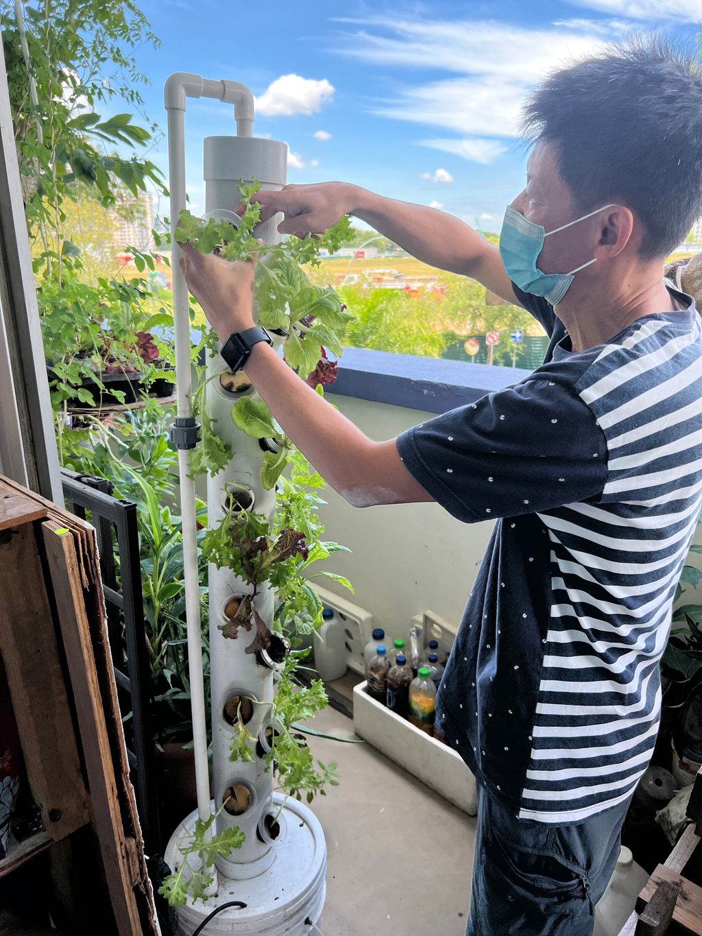 Investigating How Plants Grow π±π - Will You Help Us Build Our Garden? β photo 8
