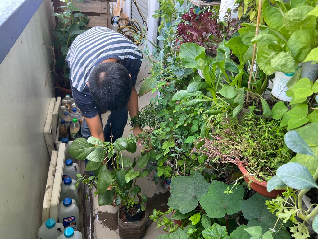 Investigating How Plants Grow π±π - Will You Help Us Build Our Garden? β photo 9