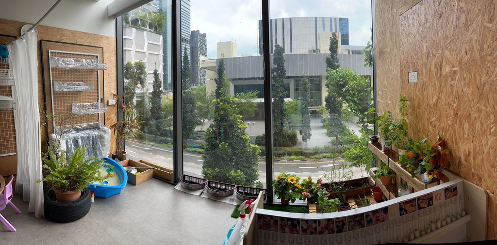Investigating How Plants Grow π±π - Filling Up Pur Indoor Garden
