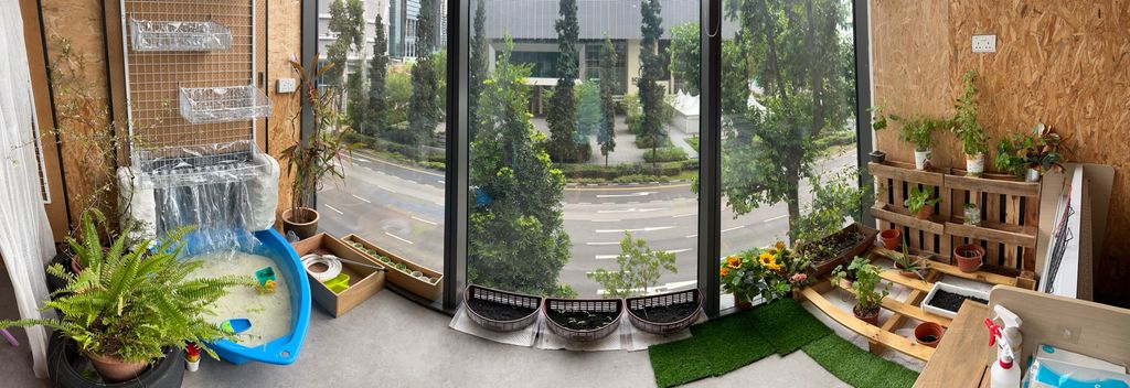 Investigating How Plants Grow π±π - Filling Up Pur Indoor Garden β photo 2