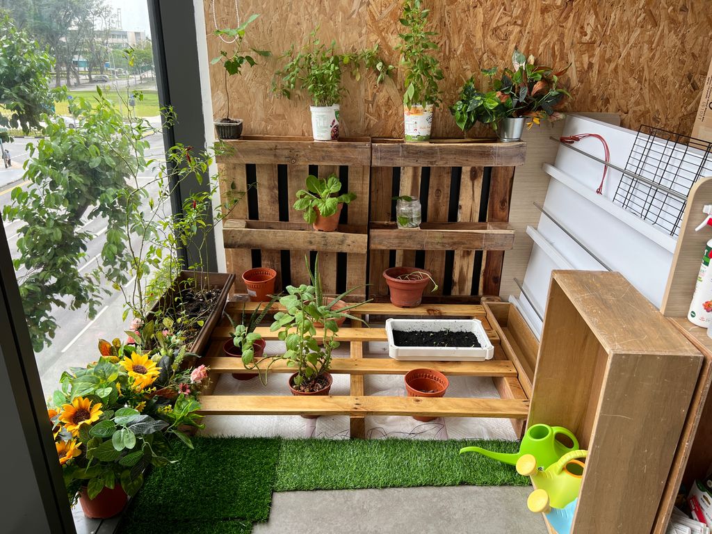 Investigating How Plants Grow π±π - Filling Up Pur Indoor Garden β photo 3