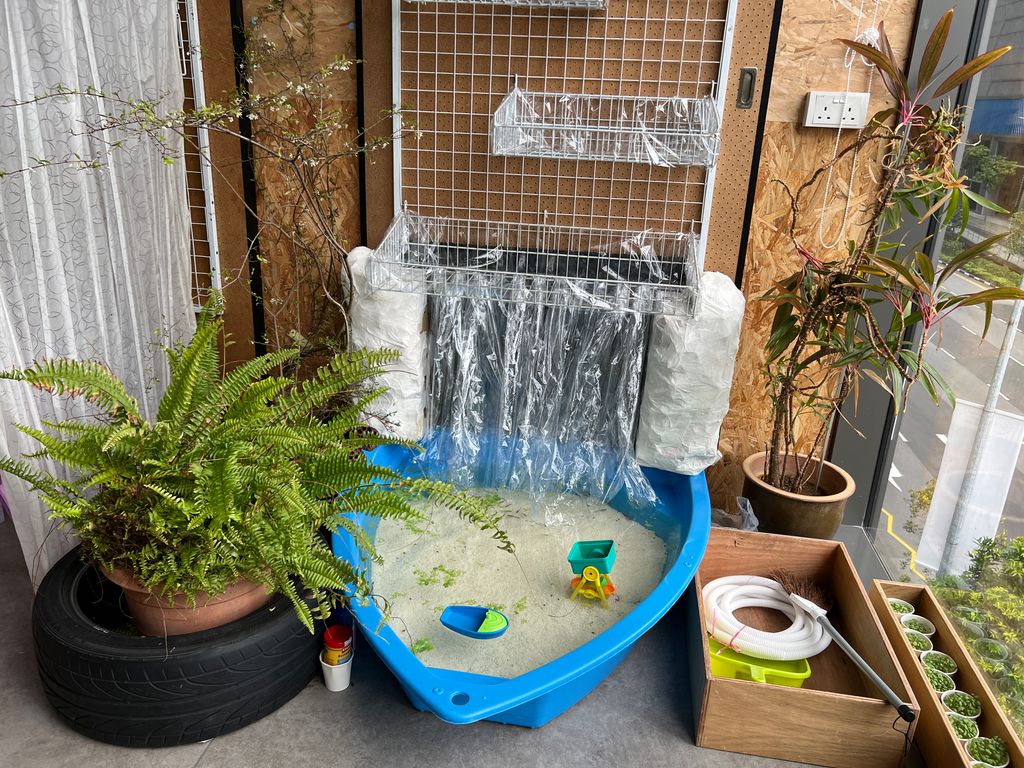 Investigating How Plants Grow π±π - Filling Up Pur Indoor Garden β photo 4